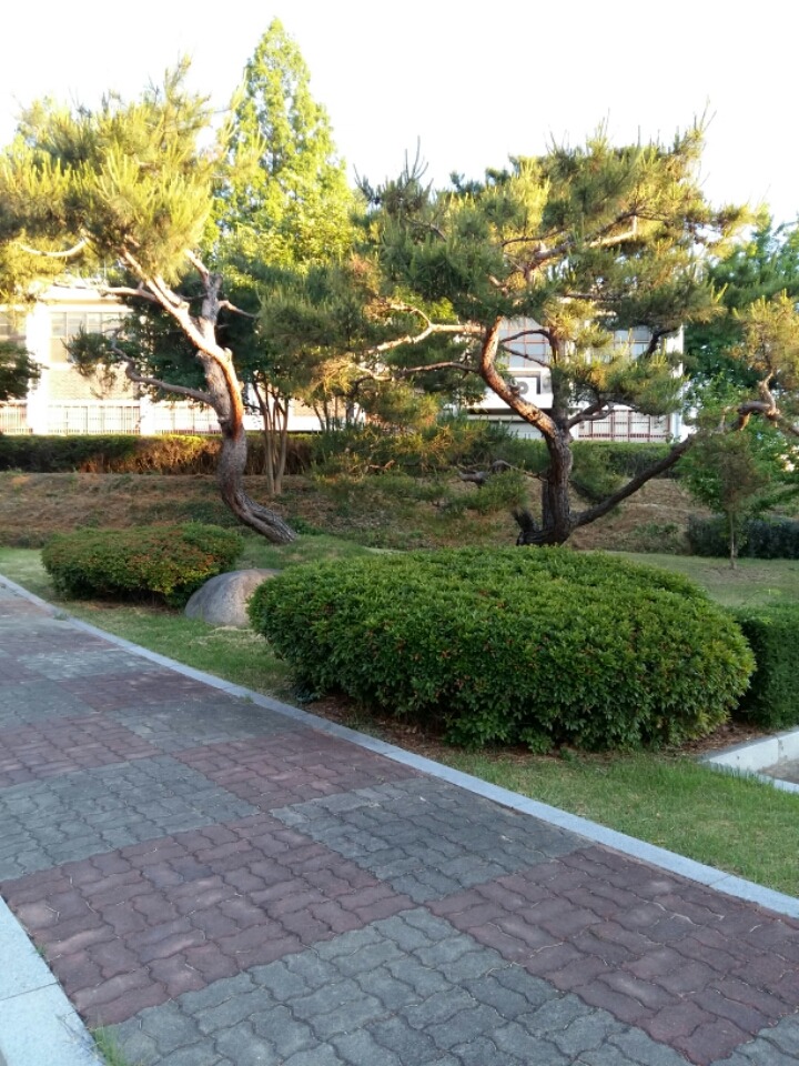 유신주단 이미지