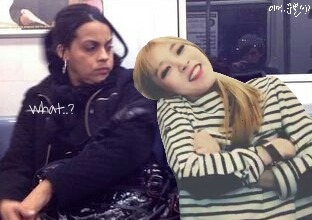 별콩 이미지