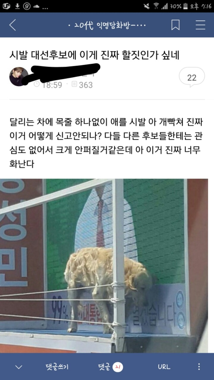대선후보 기호8번 장성민 리트리버 싣고 선거유세다님 | 인스티즈