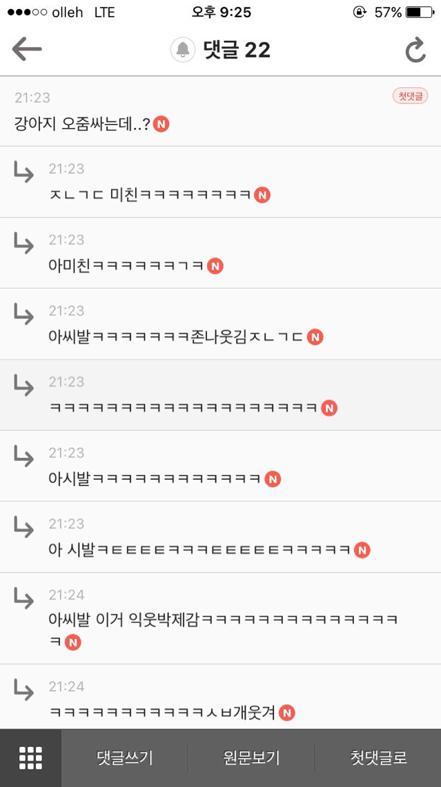 평화로운 익친이네 개들.jpg | 인스티즈