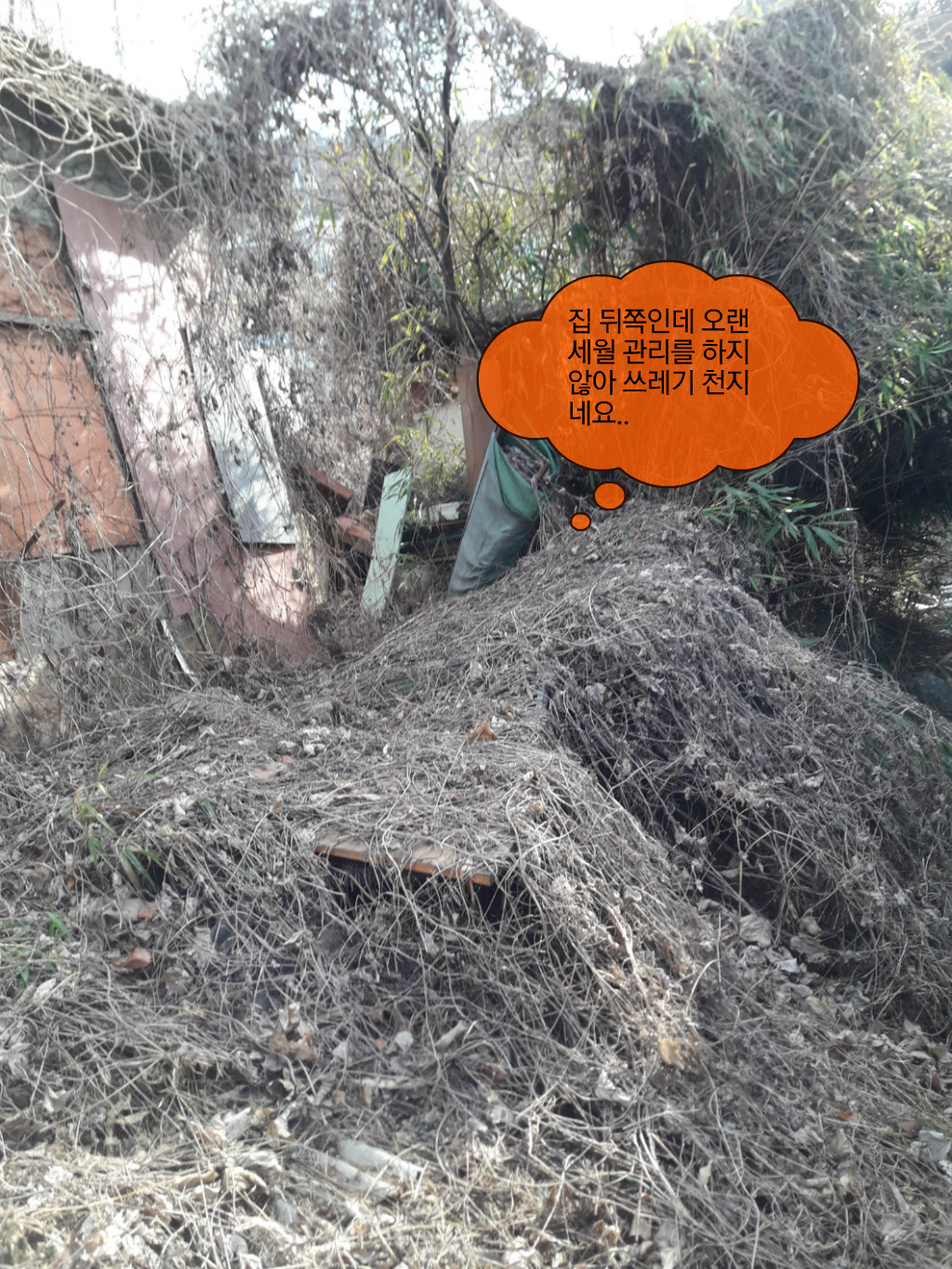 제네시스노래주점 이미지