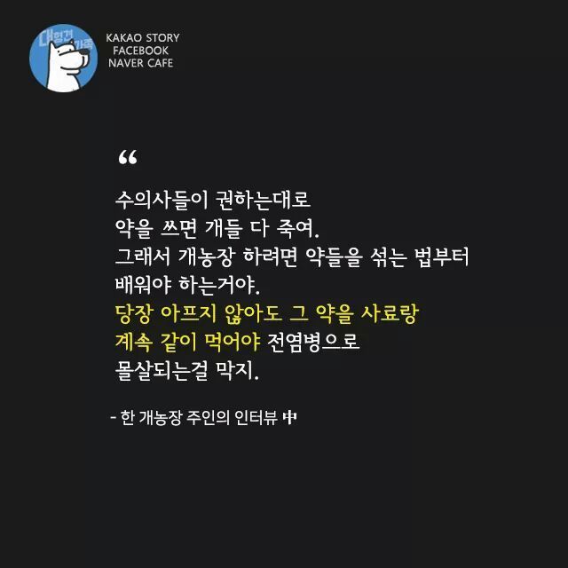개고기를 먹지말아야 하는 설득력있는 이유 | 인스티즈