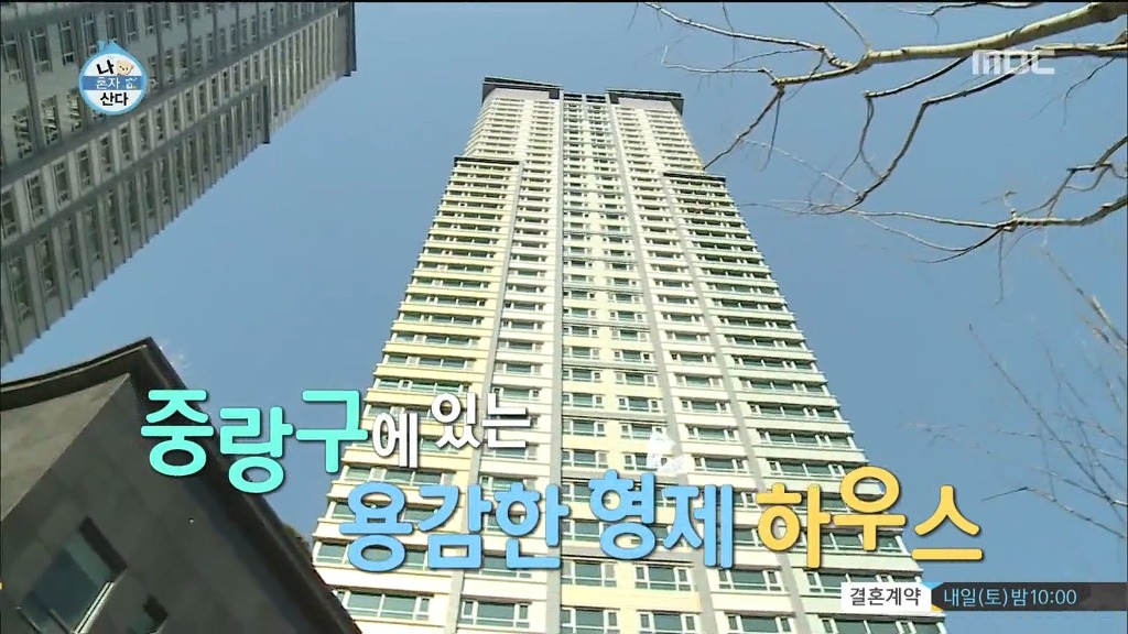 용감한형제 나혼자산다 | 인스티즈