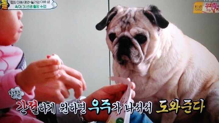오늘만 사는 예능 PD들 ㄷㄷ | 인스티즈
