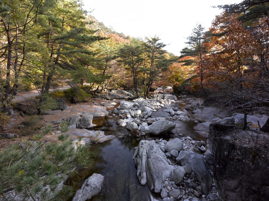 초아랑 함양 용추폭포 보러가고 싶다 | 인스티즈