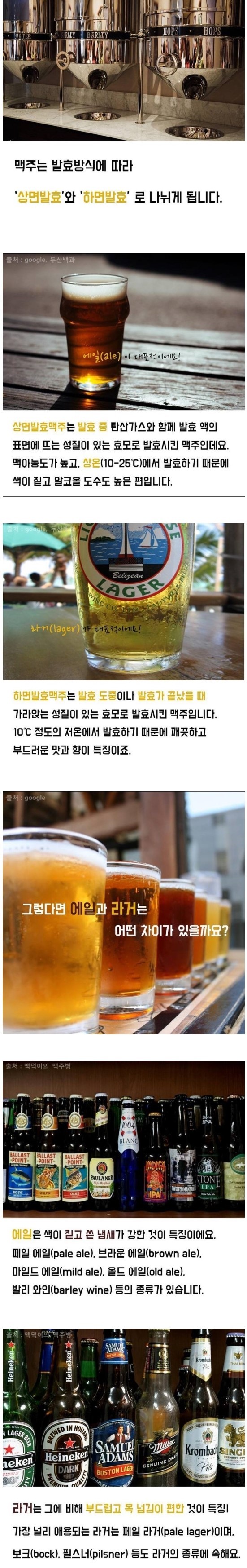 맥주에대해 알아보자 | 인스티즈