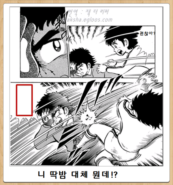 12시 전에 올리는, 오늘자 최신 보케테 | 인스티즈