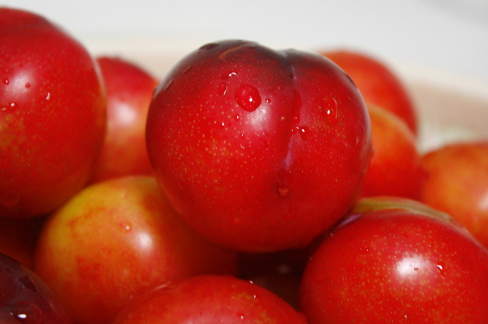  좀만 기다리면 먹을수 있는 과일들.jpg | 인스티즈