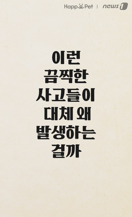 세상에 안 무는 개는 없다 | 인스티즈