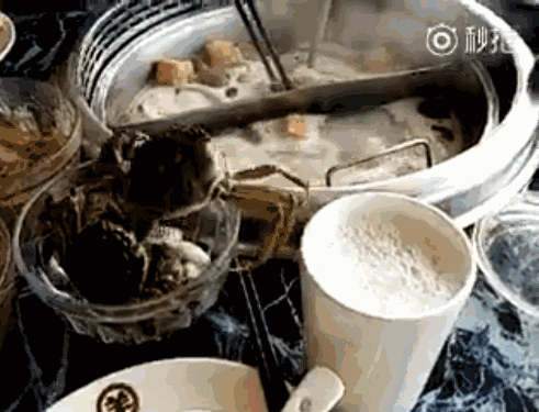 이 한몸을 다 바쳐... | 인스티즈