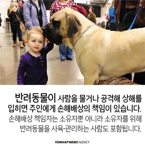 카드뉴스 늘어나는 반려동물…법 미리 알아두자 | 인스티즈