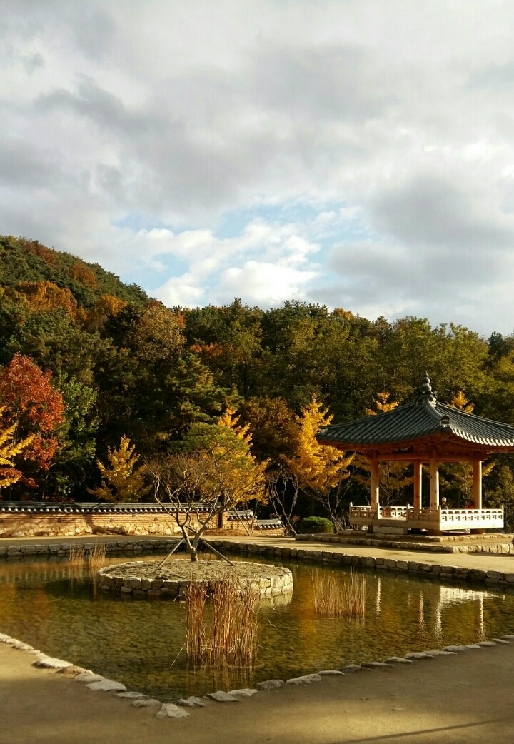 대구수목원 이미지