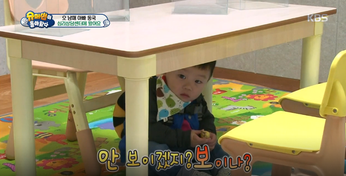 대박이의 아련아련 눈빛공격 (대박이의 성격은? 천성 vs 후천적 교육) | 인스티즈