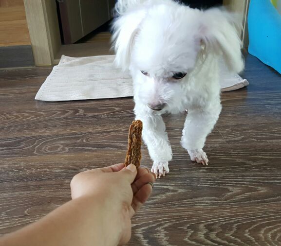 쁨이네 이미지