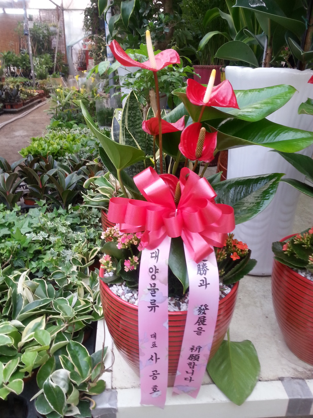 대양물류 이미지