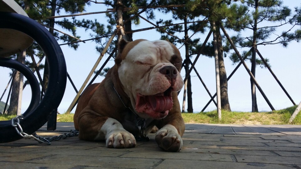 놀자 이미지