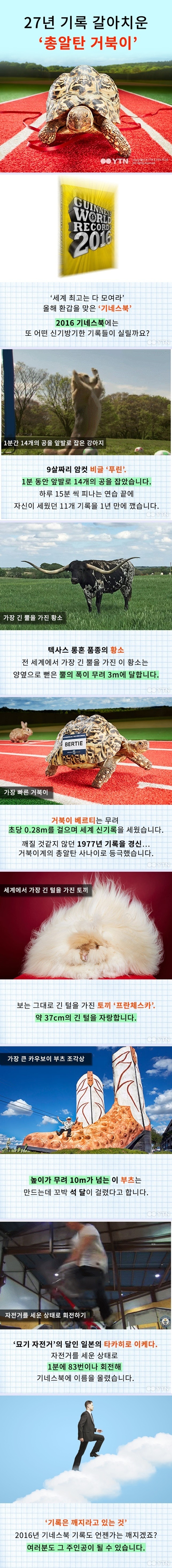 2016년 기네스북에 실린 신기방기한 기록들 | 인스티즈