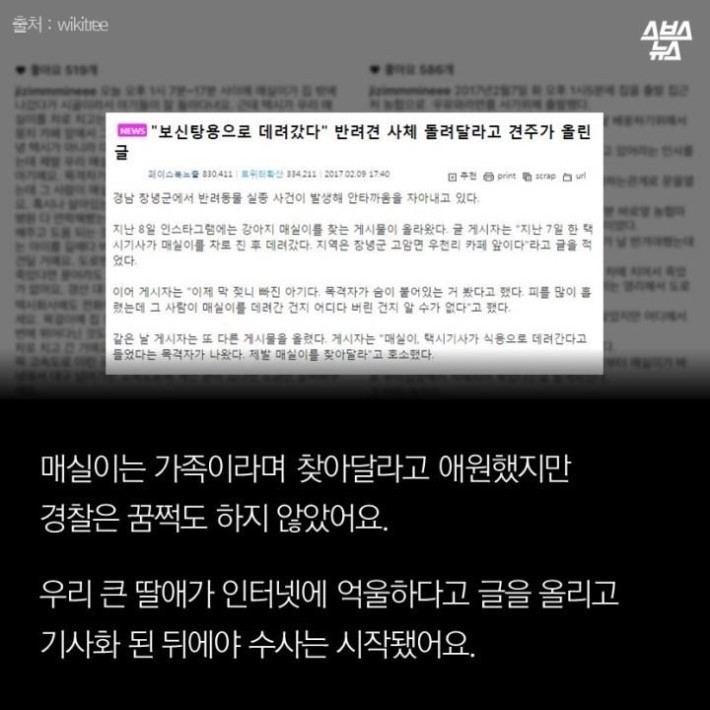 가족같은 강아지의 죽음 | 인스티즈