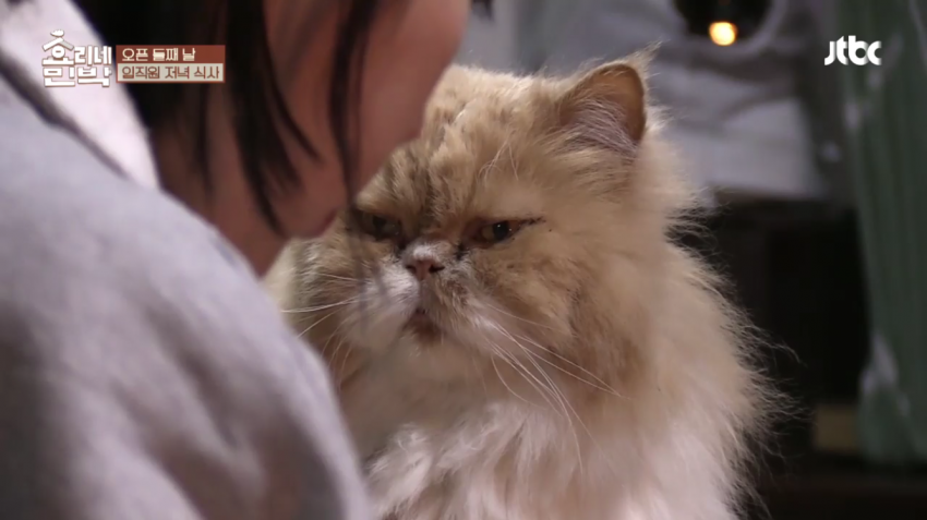 시선을 느끼는 아이유.jpg | 인스티즈