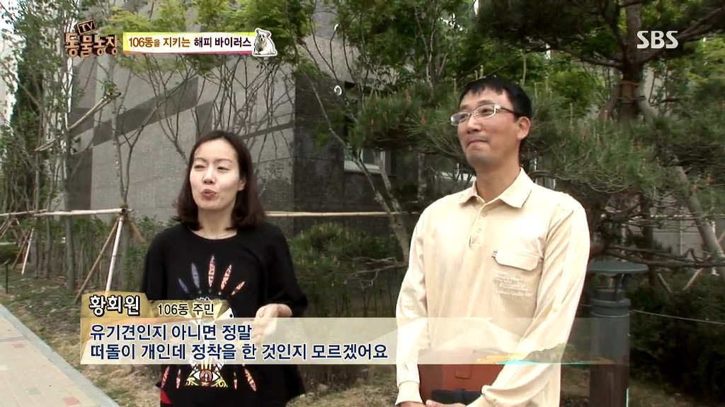 [동물농장] 106동 주민들이 키우는 강아지 | 인스티즈