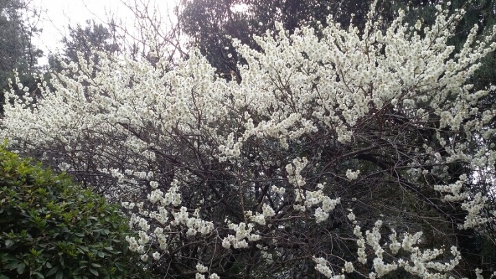 부산식물원 이미지