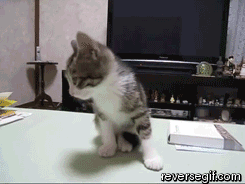 대대장님이 입장하십니다.gif | 인스티즈