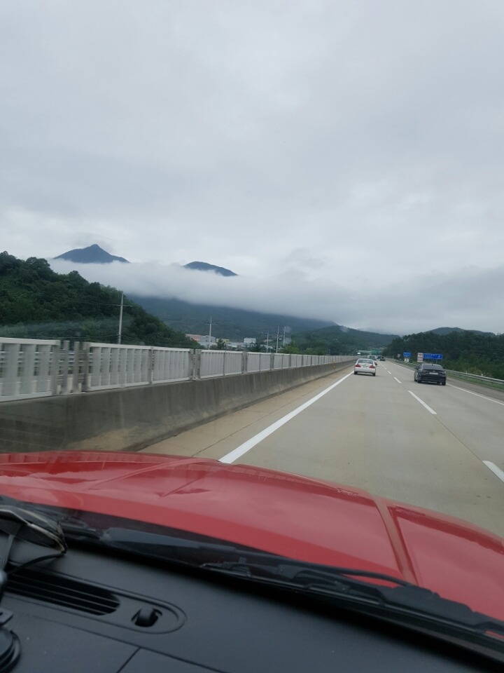 지리산옻닭 이미지