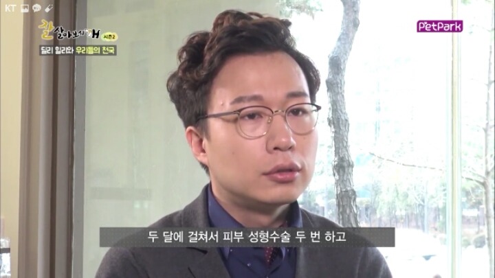 사람에 대한 트라우마가 있는 강아지 딜리 | 인스티즈