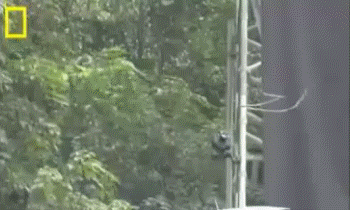 여러가지 흥미롭고 신기한 짤 | 인스티즈