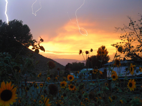 사랑만큼 당신을 뜨겁게 해줄 수 있는 것은 아무것도 없으니까 | 인스티즈