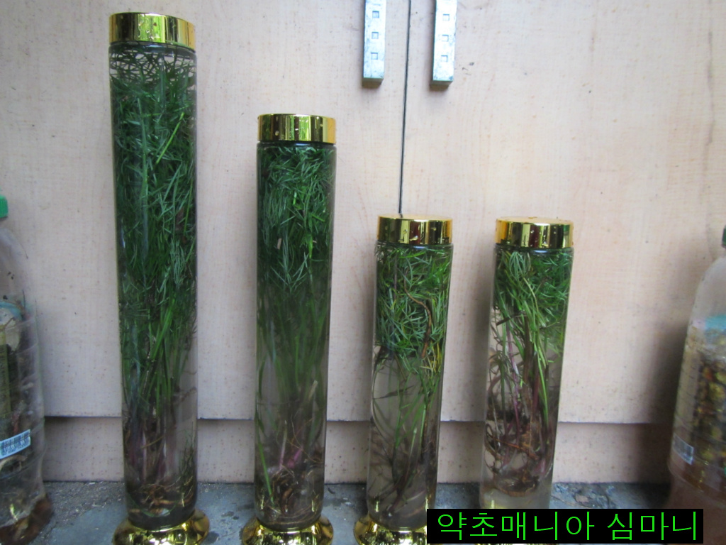 (주)담음 이미지