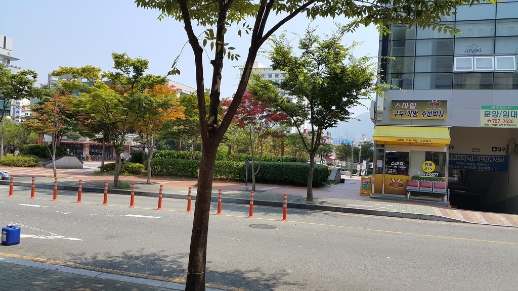 제일옷가게 이미지