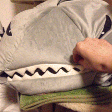 [징그럼주의] 고양이 잡아먹은 상어.gif | 인스티즈