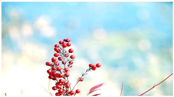  나는 당신을 그렇게 사랑하렵니다 | 인스티즈