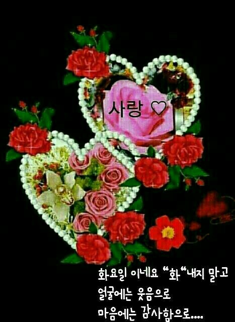 행복한 이미지