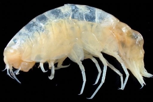 바다속이야기 이미지