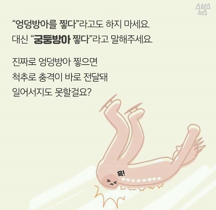 억울한 살덩이의 외침 (궁둥이와 엉덩이) | 인스티즈