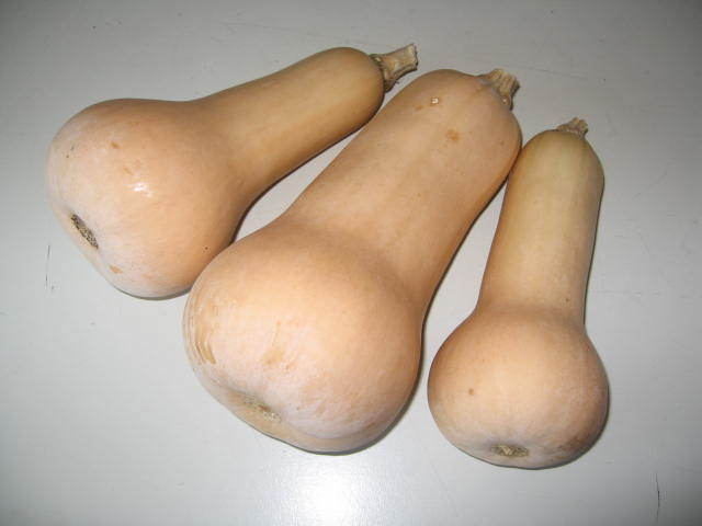 버터넛 이미지
