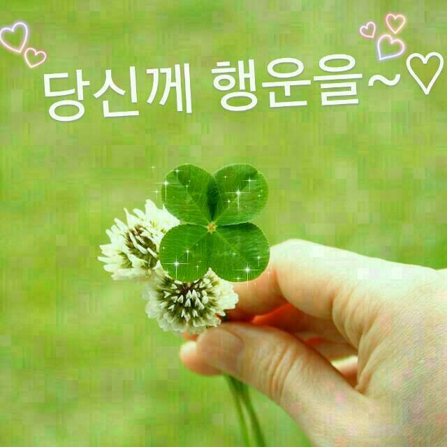 하기 이미지
