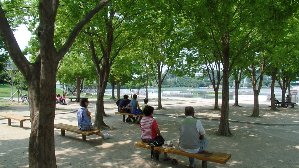데이트 코스로 유명한 전주 덕진공원 예쁜 연꽃 풍경 | 인스티즈
