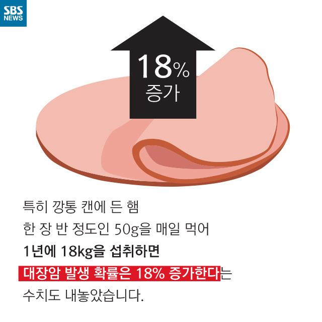 소시지는 암을 유발한다(?) | 인스티즈