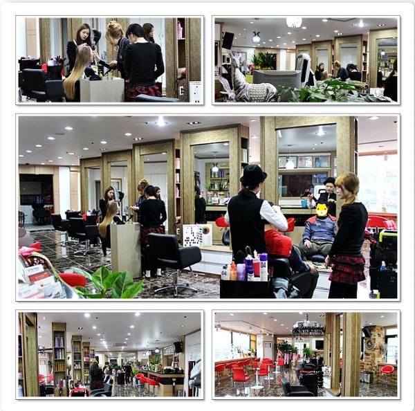 비비 헤어 이미지