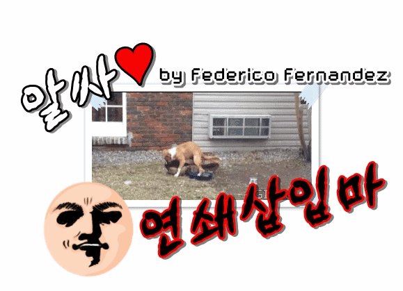 흑형의 위엄.gif | 인스티즈