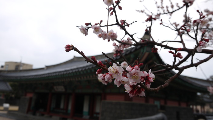 디자인사람들 이미지