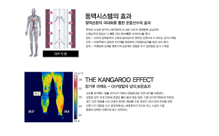 로프짐 이미지