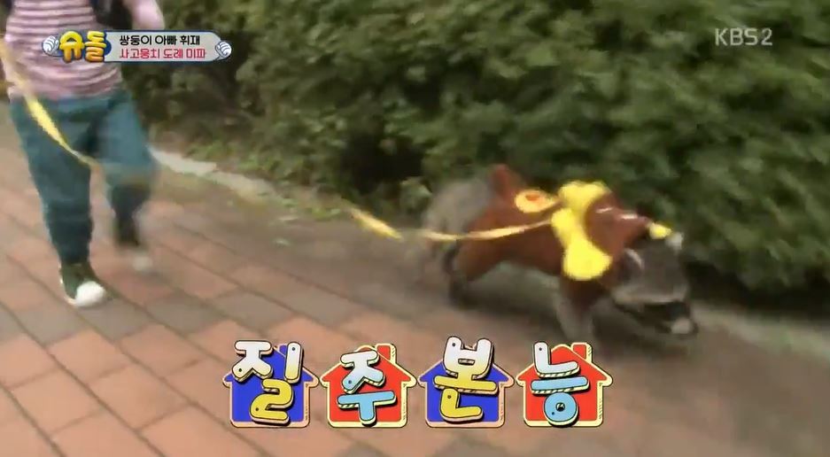 서언이 서준이 보면서 놀란 아이들의 감정 | 인스티즈