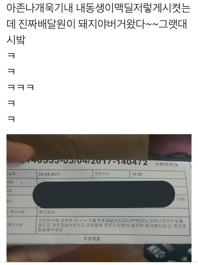돼지야 이미지