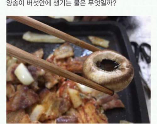 양송이 버섯 안에 생기는 물 | 인스티즈