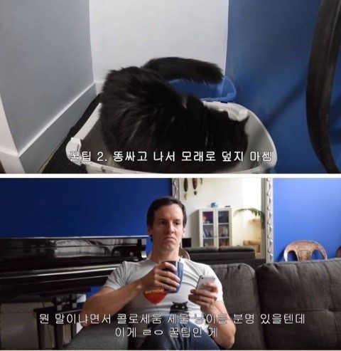 집냥이들아 팁 알려준다ㅇㅇ | 인스티즈