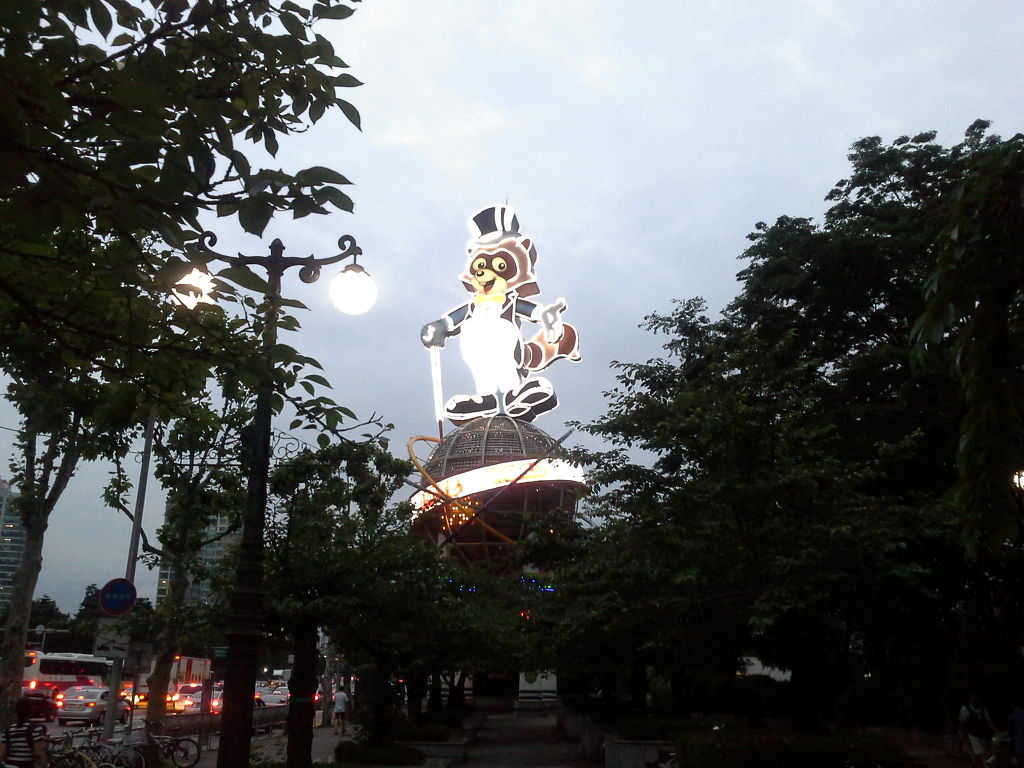 잠실너구리 이미지